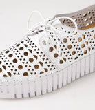 Django and Juliette Belarus Leather Sneaker