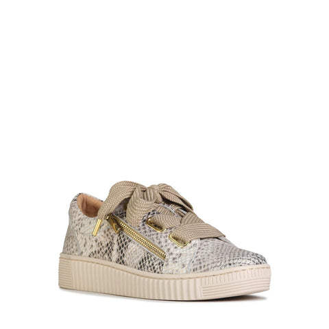 Jovi - Champagne Snake